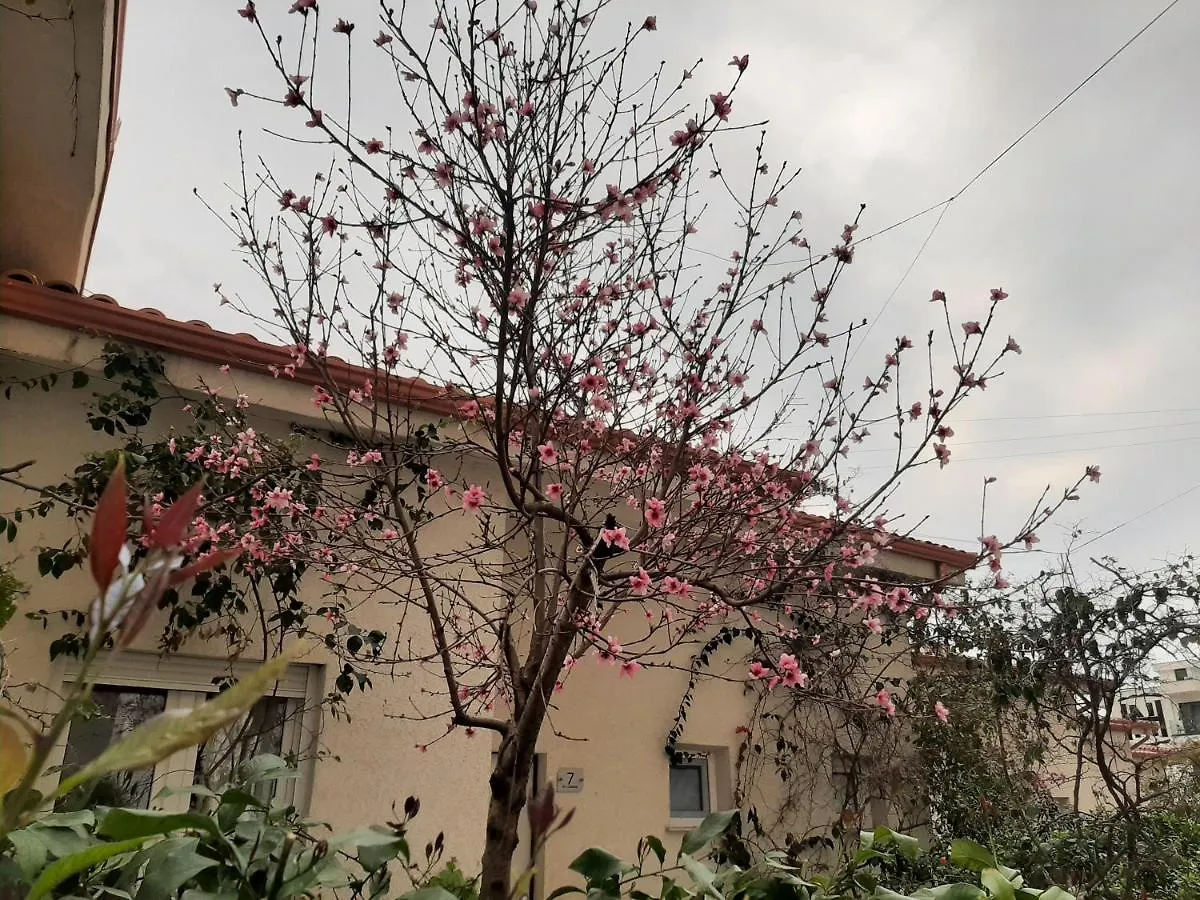 Kela Apartment 3 Sarande 0*,