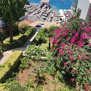 Amelie's & Saranda